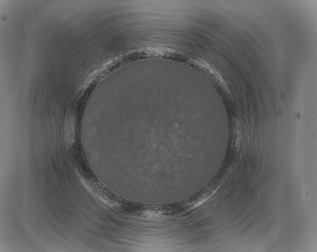 X0000083580496200702231659