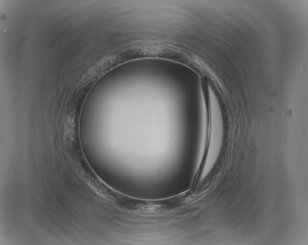 X0000083580497200702231659