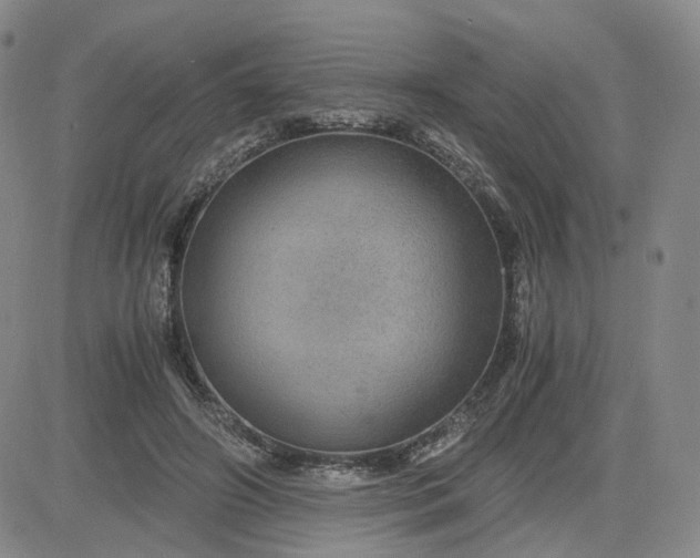 X0000083580498200702231659