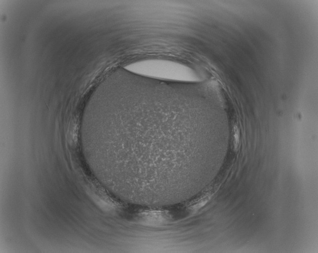 X0000083580499200702231659