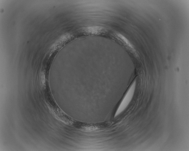 X0000083580500200702231659