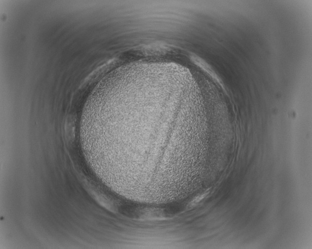 X0000083580501200702231659