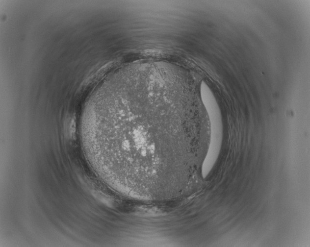 X0000083580502200702231659