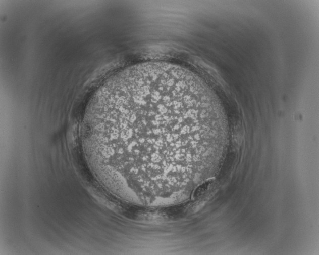 X0000083580503200702231659