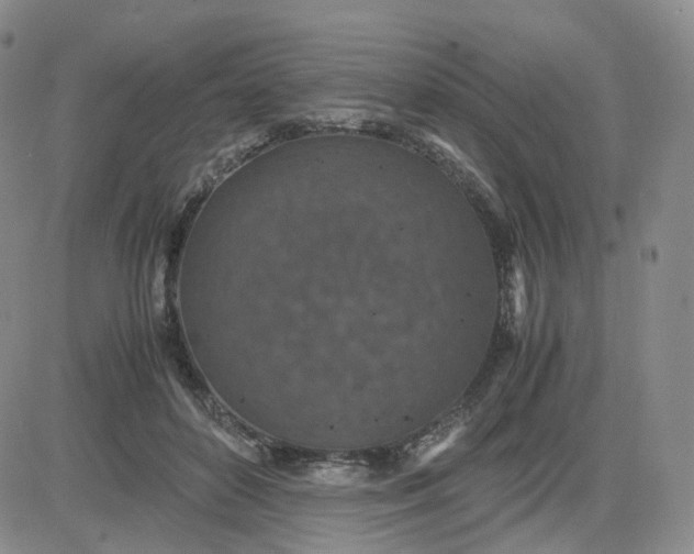 X0000083580504200702231659