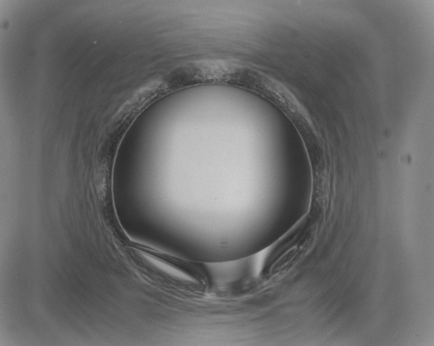 X0000083580505200702231659