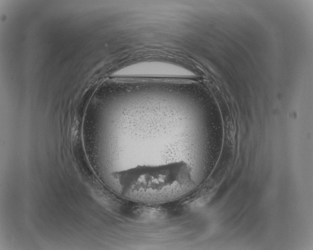 X0000083580507200702231659