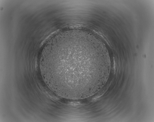 X0000083580508200702231659