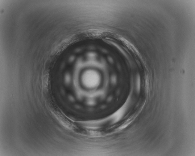 X0000083580509200702231659