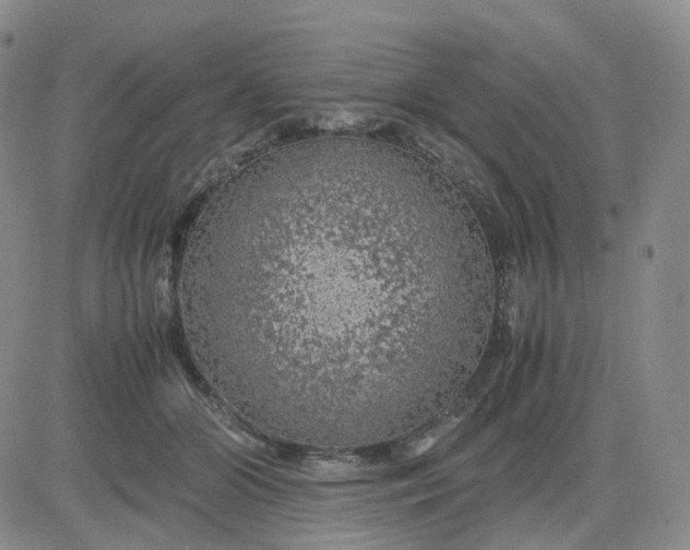 X0000083580510200702231658