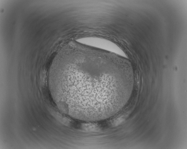 X0000083580511200702231658