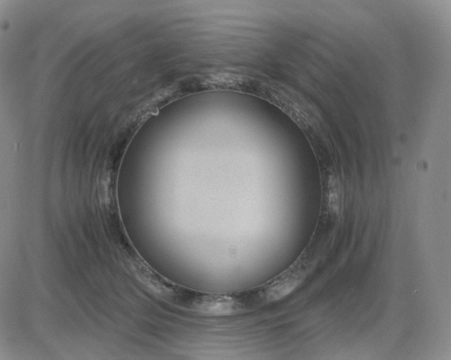 X0000083580514200702231658