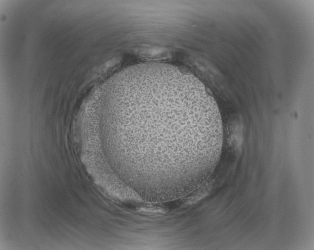 X0000083580515200702231658