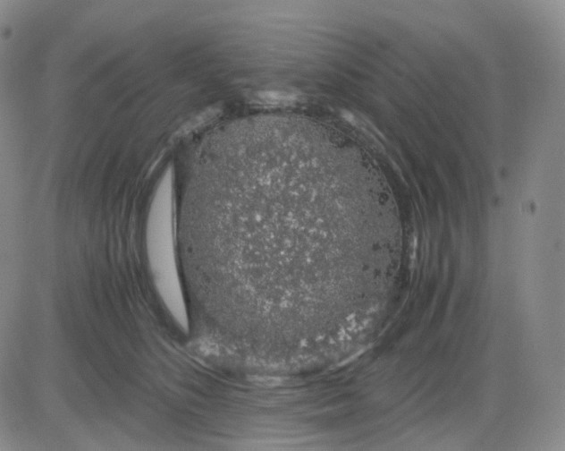 X0000083580516200702231658