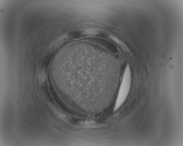 X0000083580517200702231658