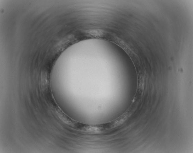 X0000083580518200702231658