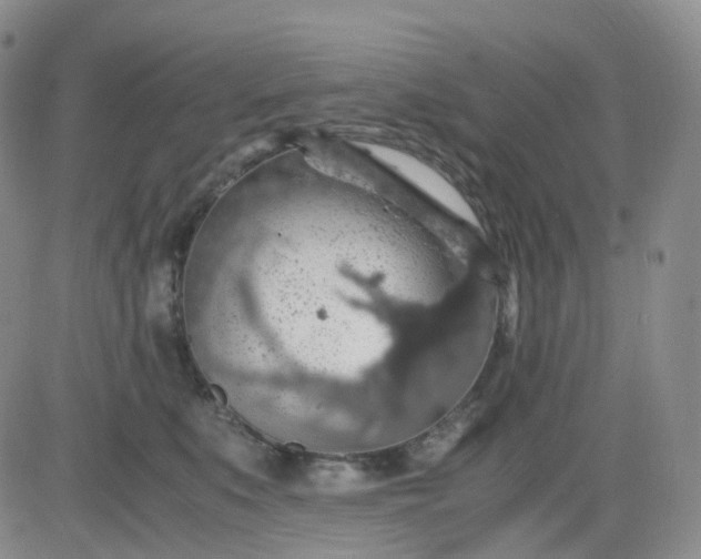 X0000083580519200702231658