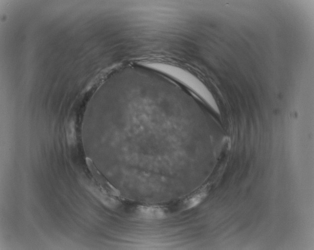 X0000083580520200702231658