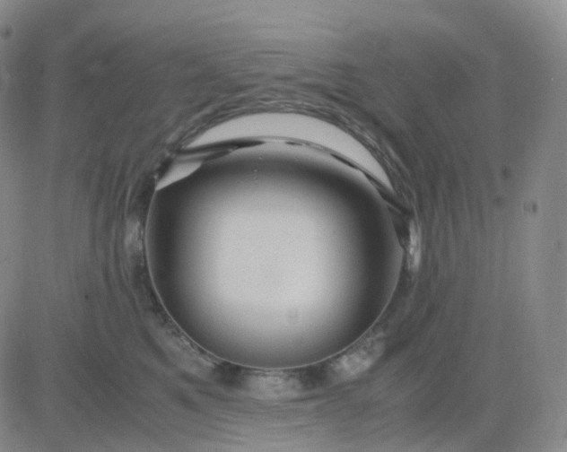 X0000083580521200702231658