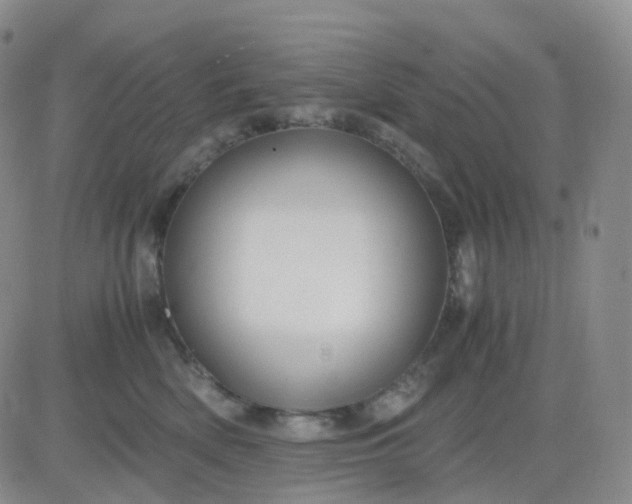 X0000083580522200702231658