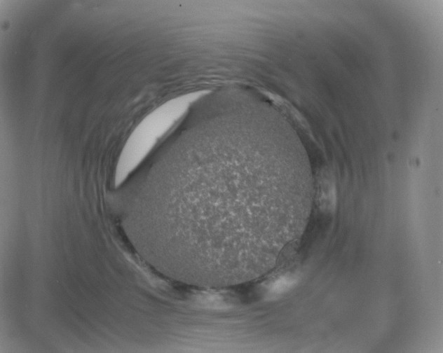 X0000083580523200702231658