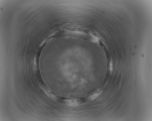 X0000083580524200702231658