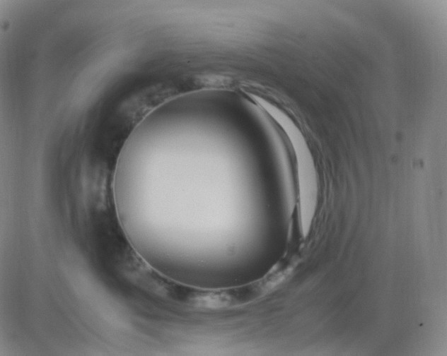 X0000083580525200702231658