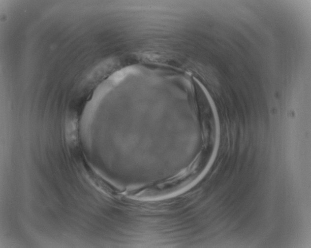 X0000083580526200702231658