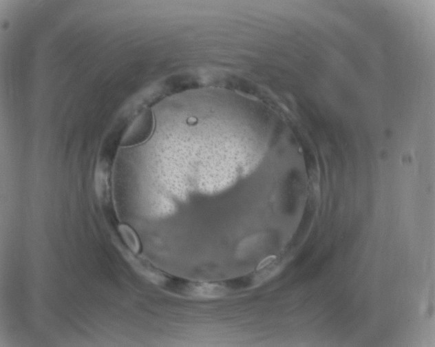 X0000083580527200702231658