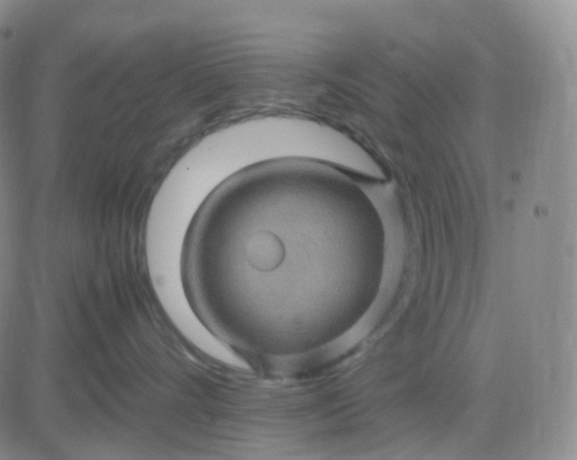 X0000083580528200702231658