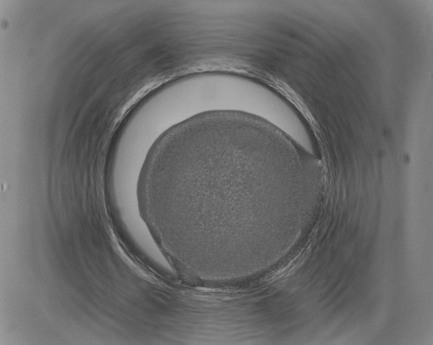 X0000083580530200702231657