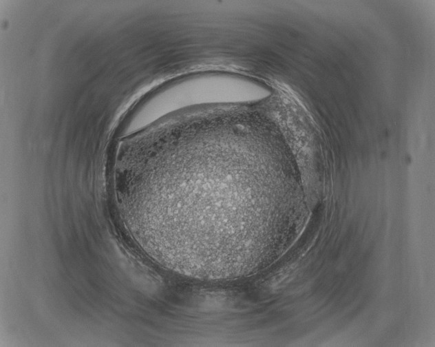 X0000083580531200702231657