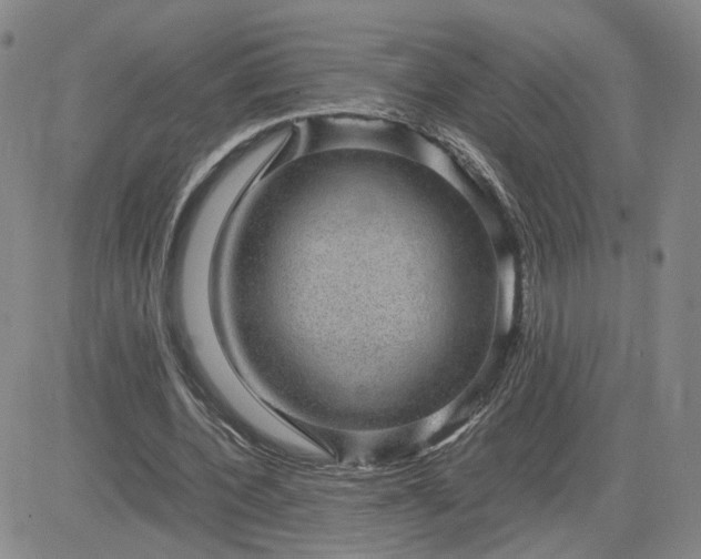 X0000083580532200702231657