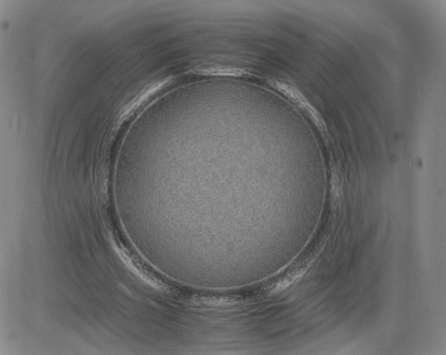 X0000083580533200702231657