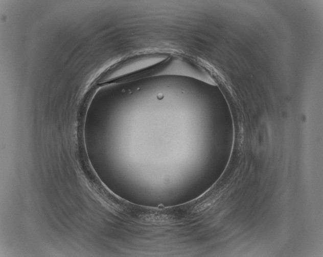 X0000083580535200702231657