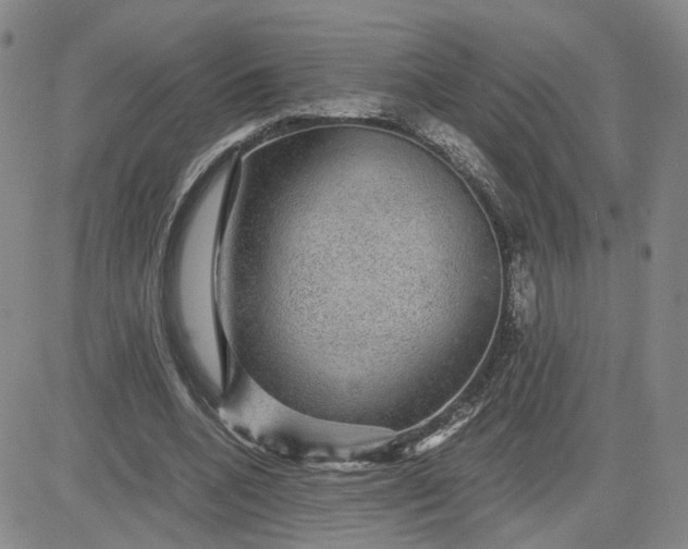 X0000083580536200702231658