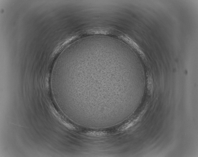 X0000083580537200702231658