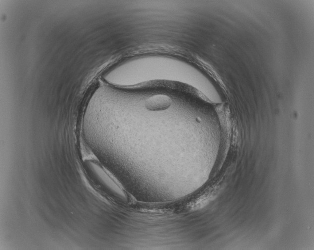 X0000083580538200702231658