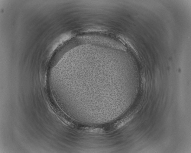 X0000083580539200702231658