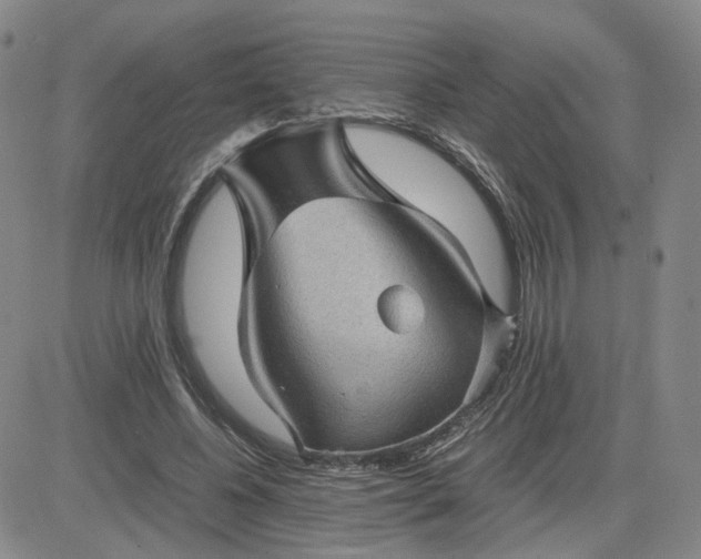 X0000083580540200702231658