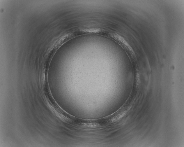 X0000083580541200702231658