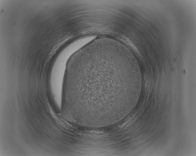 X0000083580542200702231658