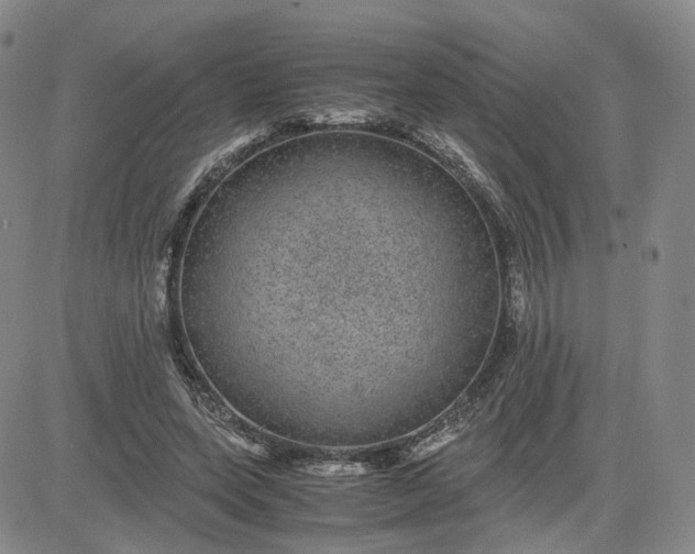 X0000083580543200702231658