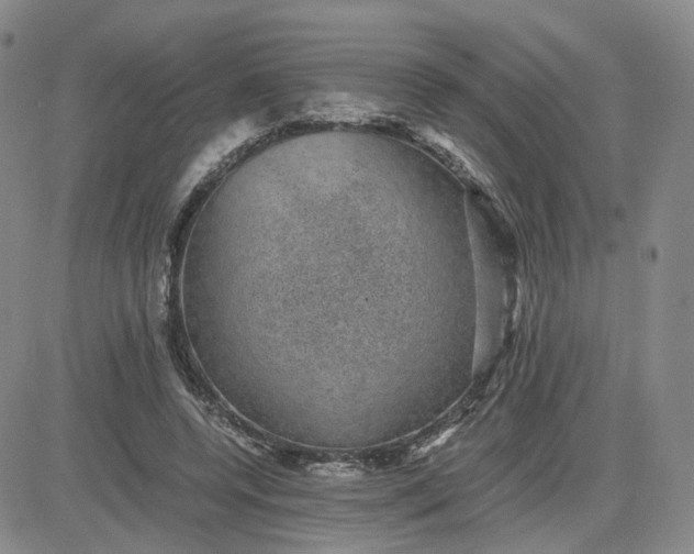 X0000083580544200702231658