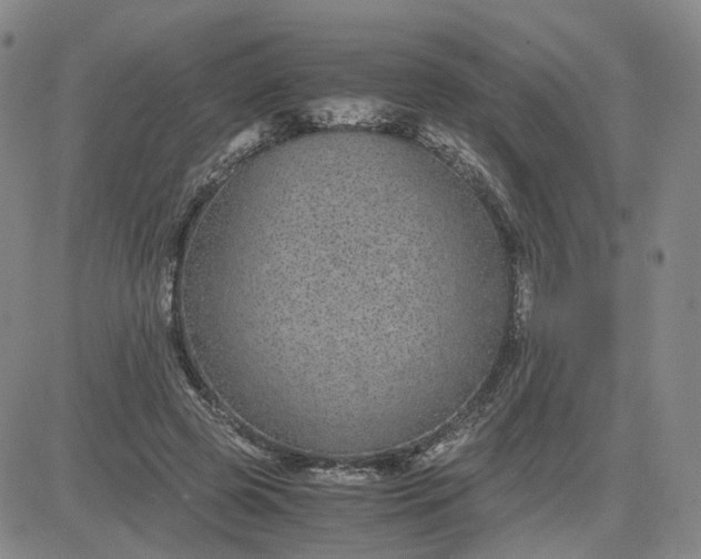 X0000083580545200702231658