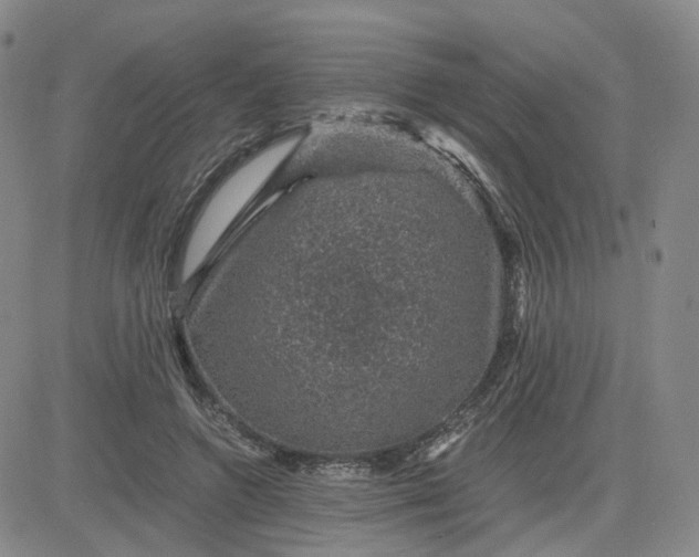 X0000083580546200702231658