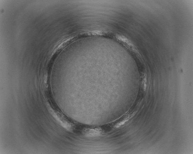 X0000083580548200702231658