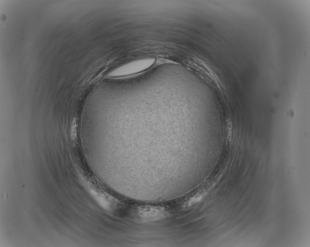 X0000083580549200702231658