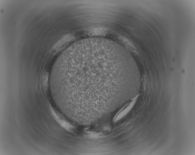 X0000083580550200702231658