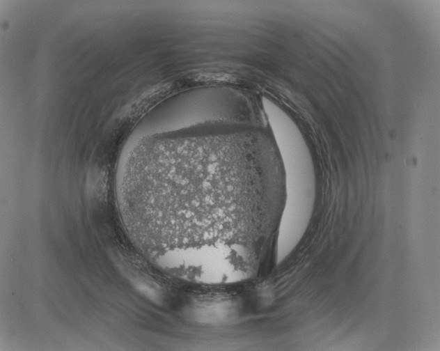 X0000083580551200702231658